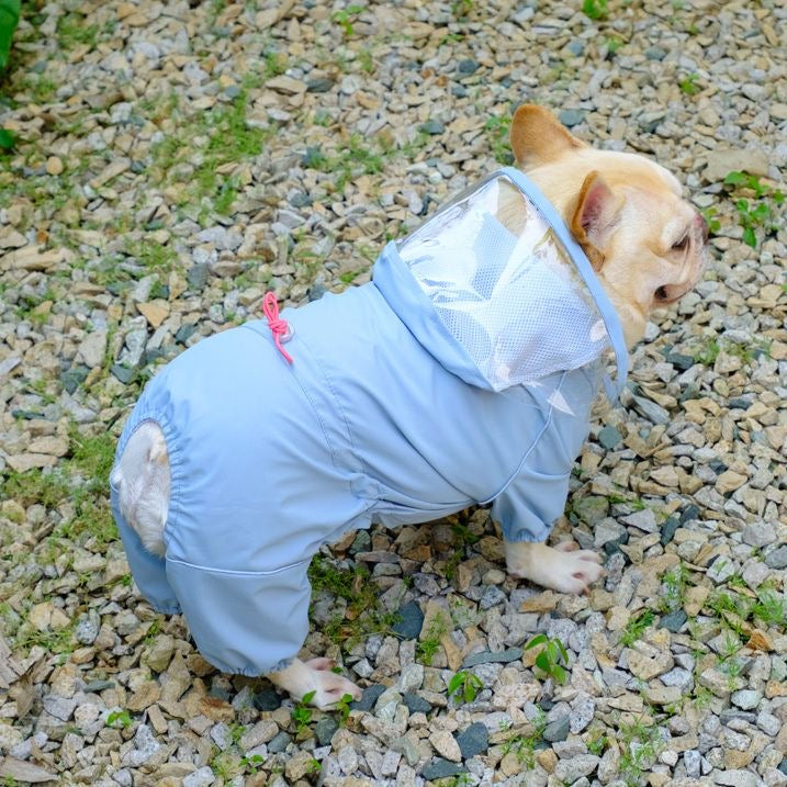 Blue full-body dog raincoat with clear visor hood — rear three-quarter view