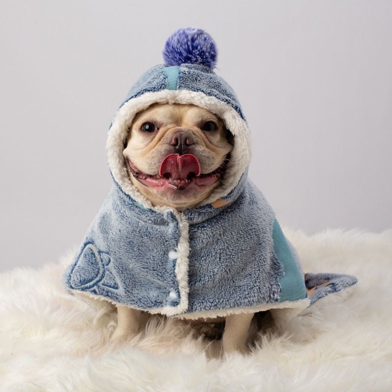 Blue dinosaur-print hooded pet cape — front on Frenchie