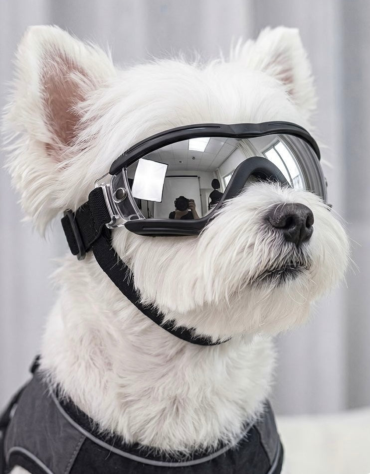 Pet protective goggles — white fluffy dog with silver-mirrored wraparound lenses