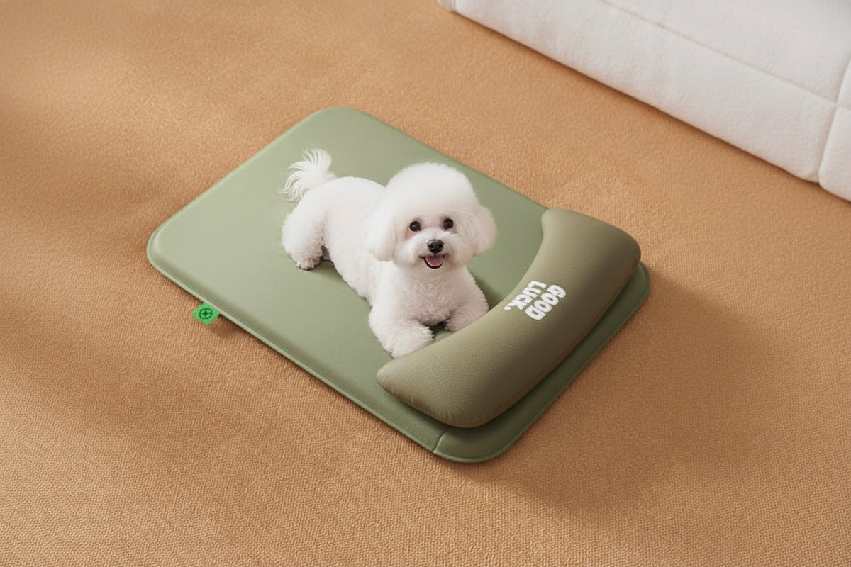 Sage green pet headrest mat with GOOD LUCK. bolster — white dog lifestyle, spacious secure feel