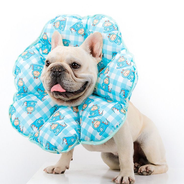 Frenchie wearing soft flower recovery collar — Dinosaur Blue gingham cone alternative