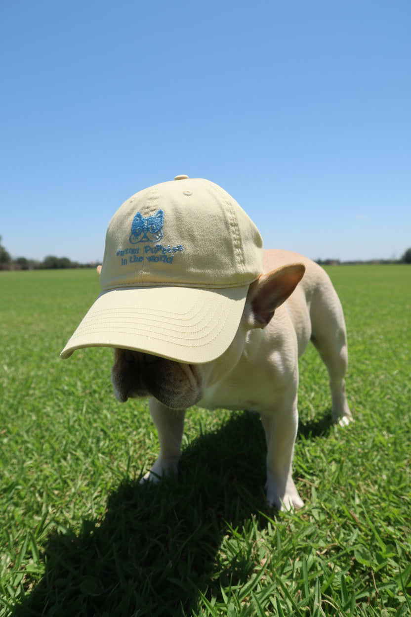 Frenchie Embroidered Baseball Cap