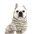 Cream/Grey Fair Isle four-leg fleece — sitting on dog