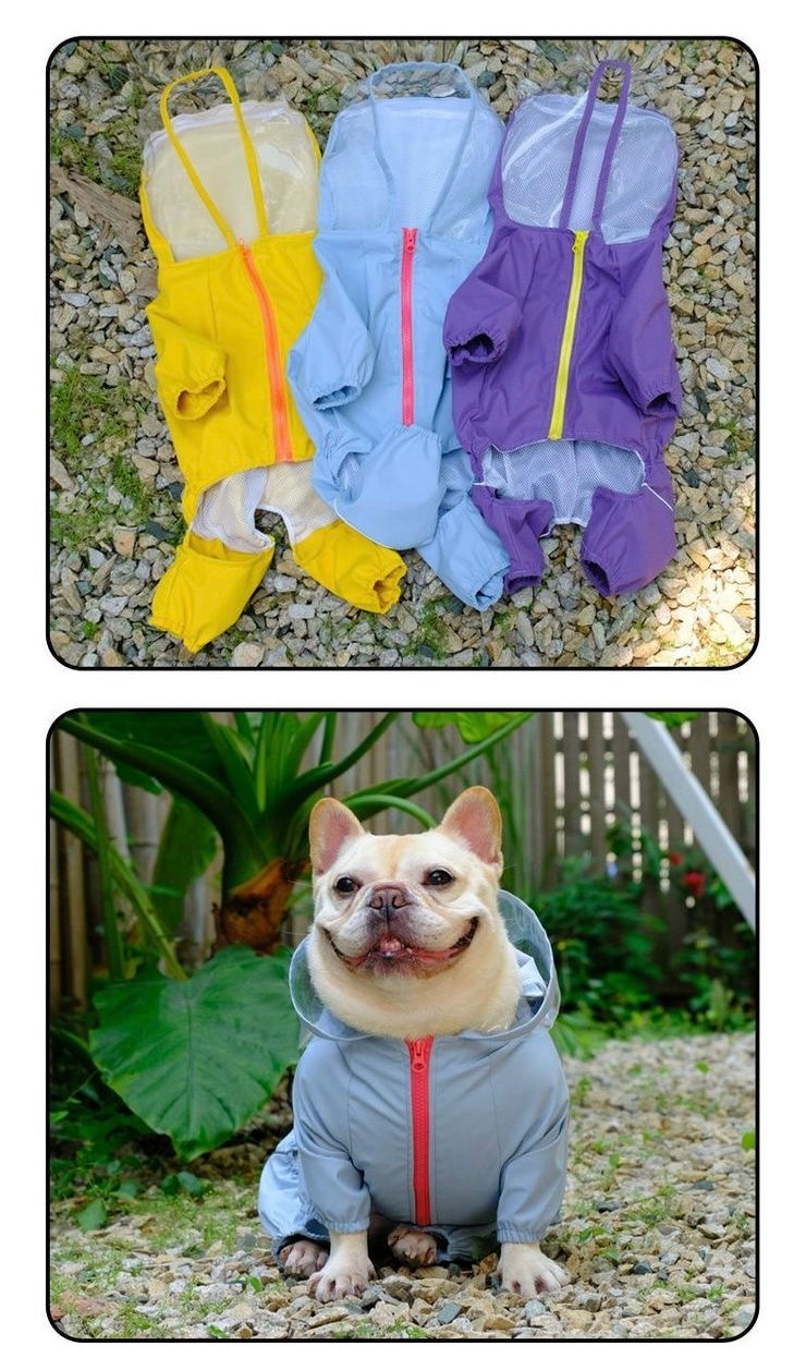 Yellow, blue, and purple clear-visor raincoats flat lay plus blue on Frenchie