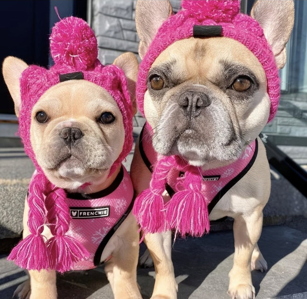 Ear-Hole Knit Beanie for Frenchies — Pom & Tassels