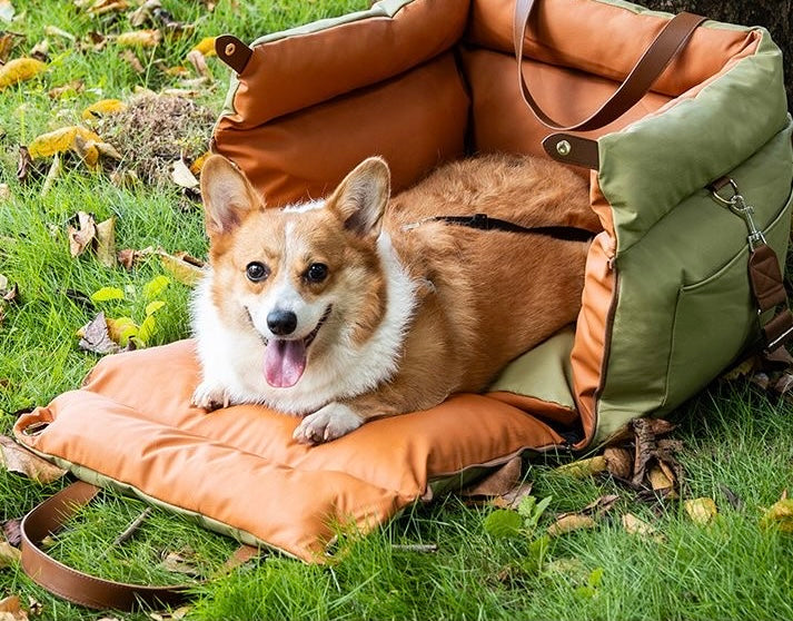 Olive booster carrier open as a bed with a corgi