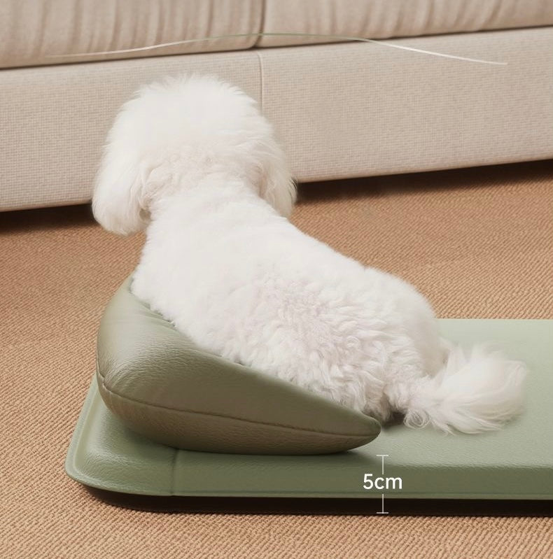 Sage green pet headrest mat side view — approx 5 cm base thickness with dog on bolster