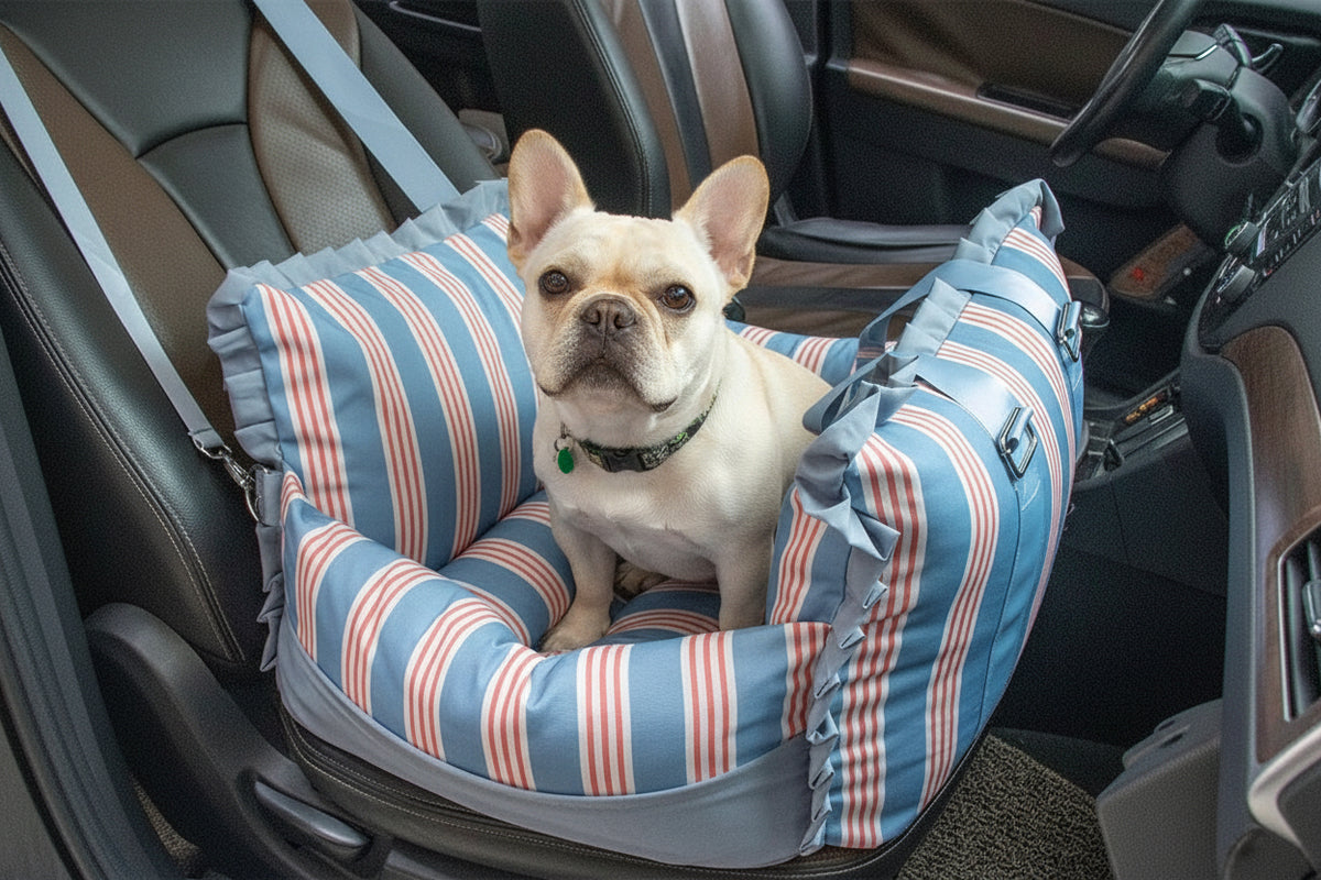 Pet car seat on front passenger seat — travel booster lifestyle