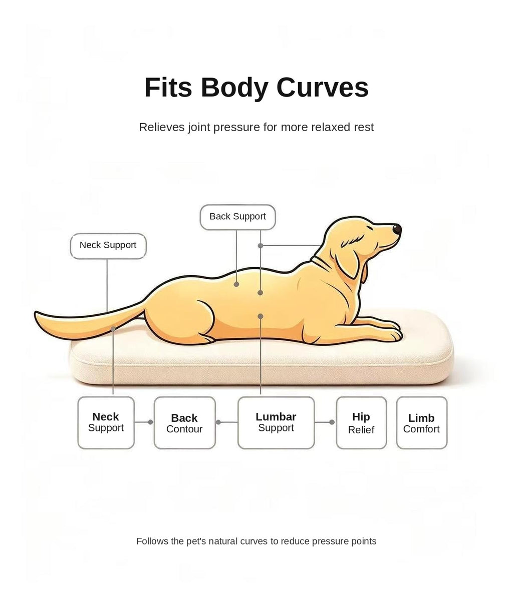 Ergonomic support — neck, back, lumbar, hip, and limb comfort