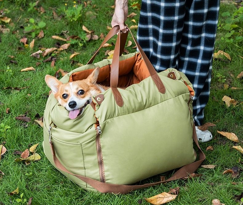 Clean outdoor view of the olive convertible pet car booster carrier with dog