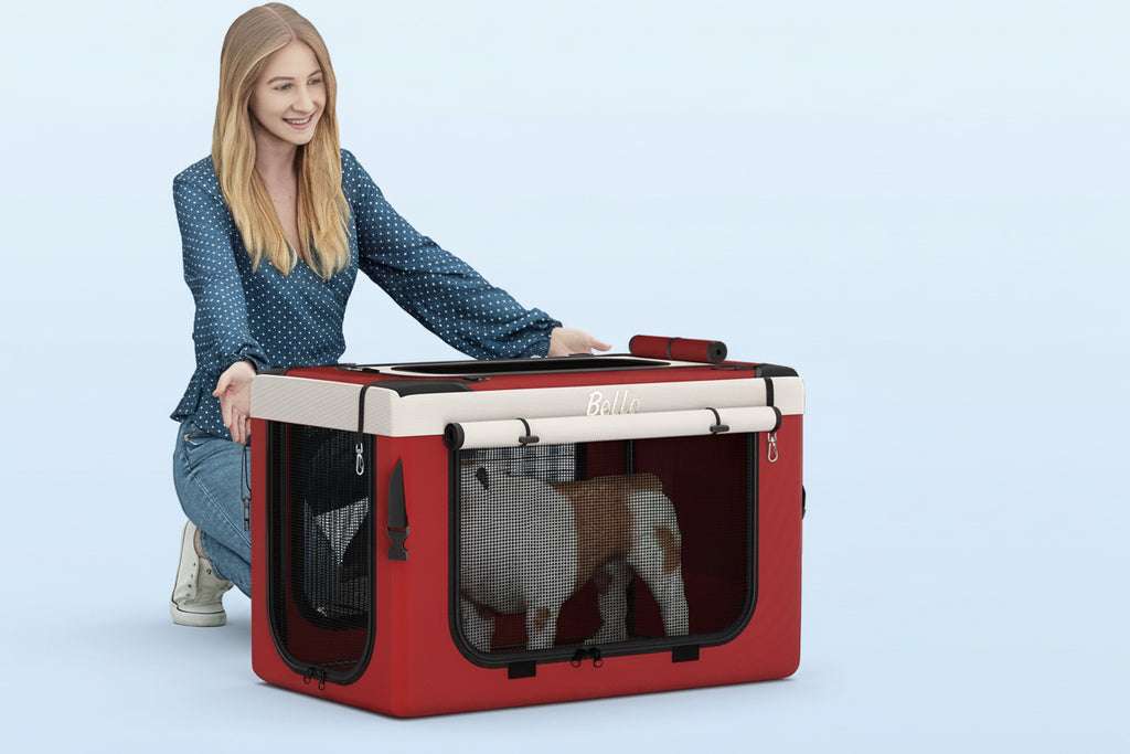 Detached cabin as cozy home lifestyle — cabin lifts off as nest for pets