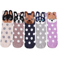 Frenchie polka-dot crew socks 5-pair bundle — flat lay of all mixed colors