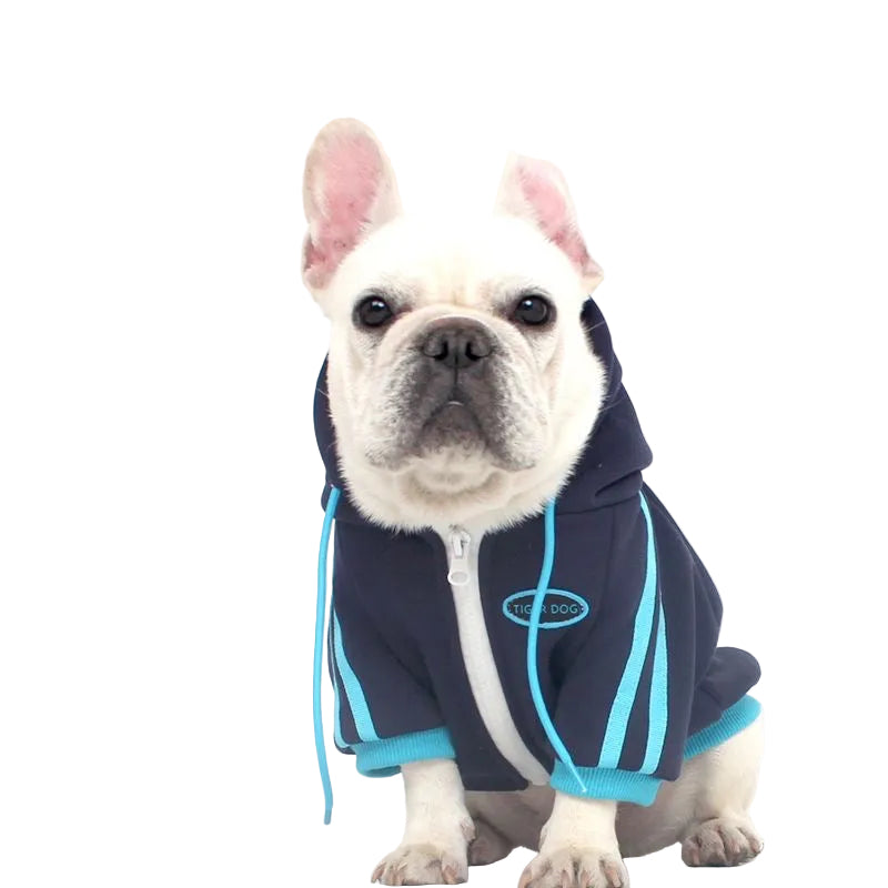 Navy Frenchie sport zip hoodie on dog — front view