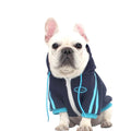 Navy Frenchie sport zip hoodie on dog — front view