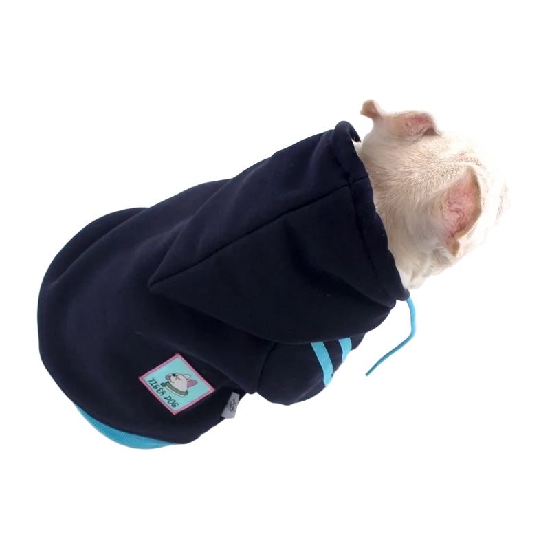 Navy Frenchie sport zip hoodie on dog — back view