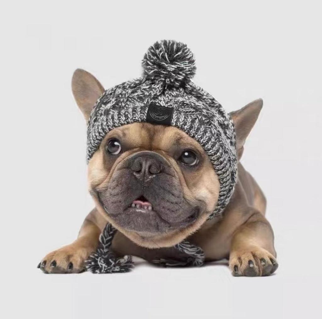 Ear-Hole Knit Beanie for Frenchies — Pom & Tassels