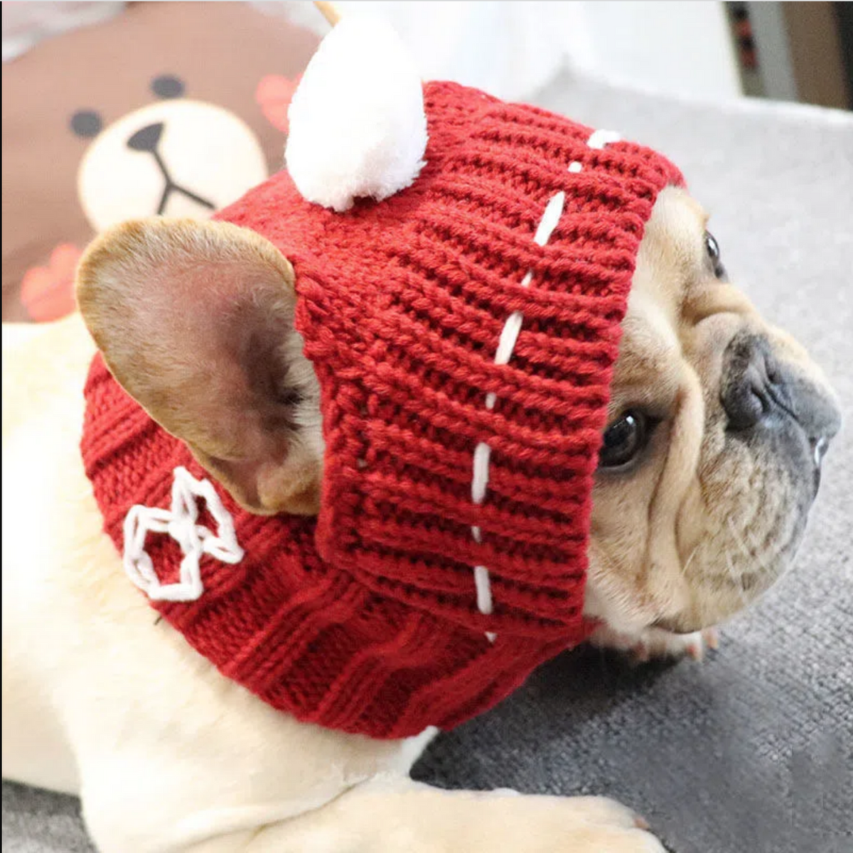 Red Frenchie knit pom-pom hat on French Bulldog