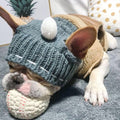 Grey Frenchie knit pom-pom hat on French Bulldog