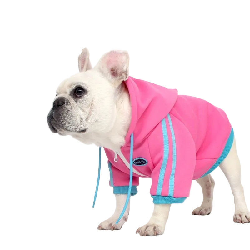 Pink Frenchie sport zip hoodie on dog — side view